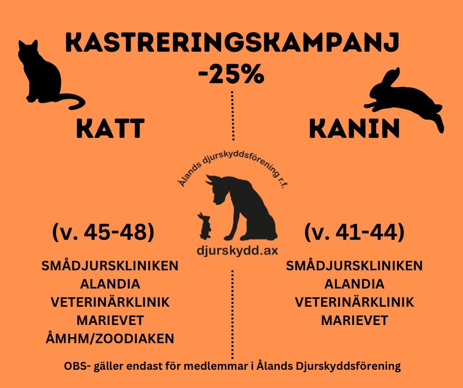 Kastreringskampanj för katt & kanin!